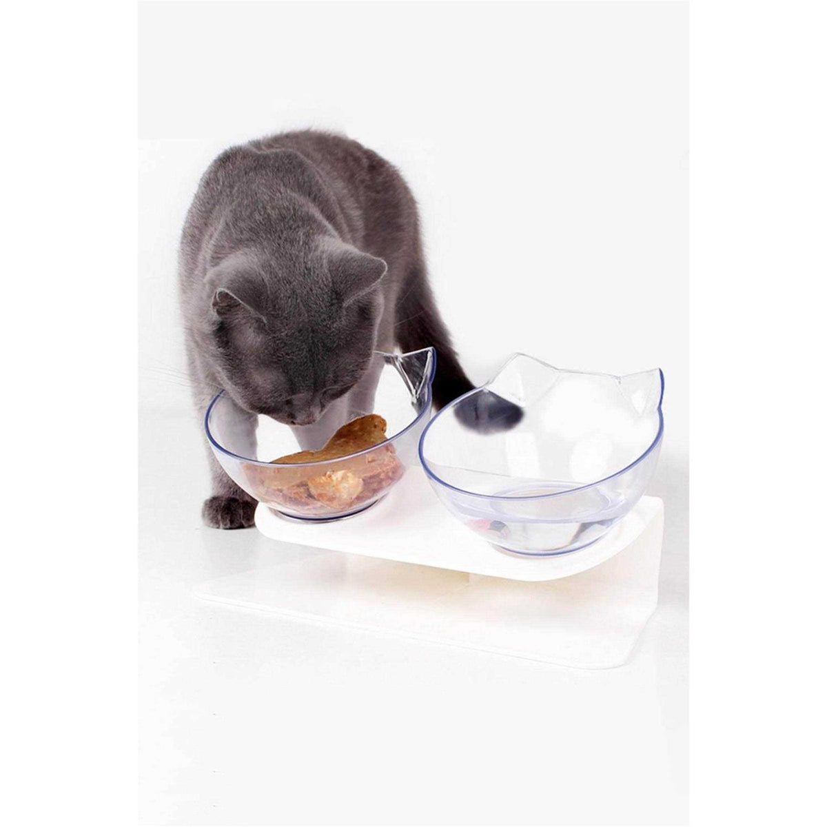 Elevated Cat Bowls G84296
