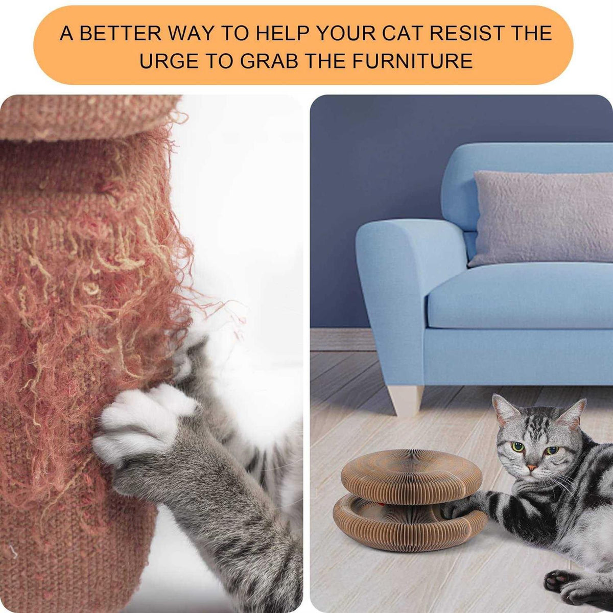 Magic Cats Scratching Board with Ball Y808357