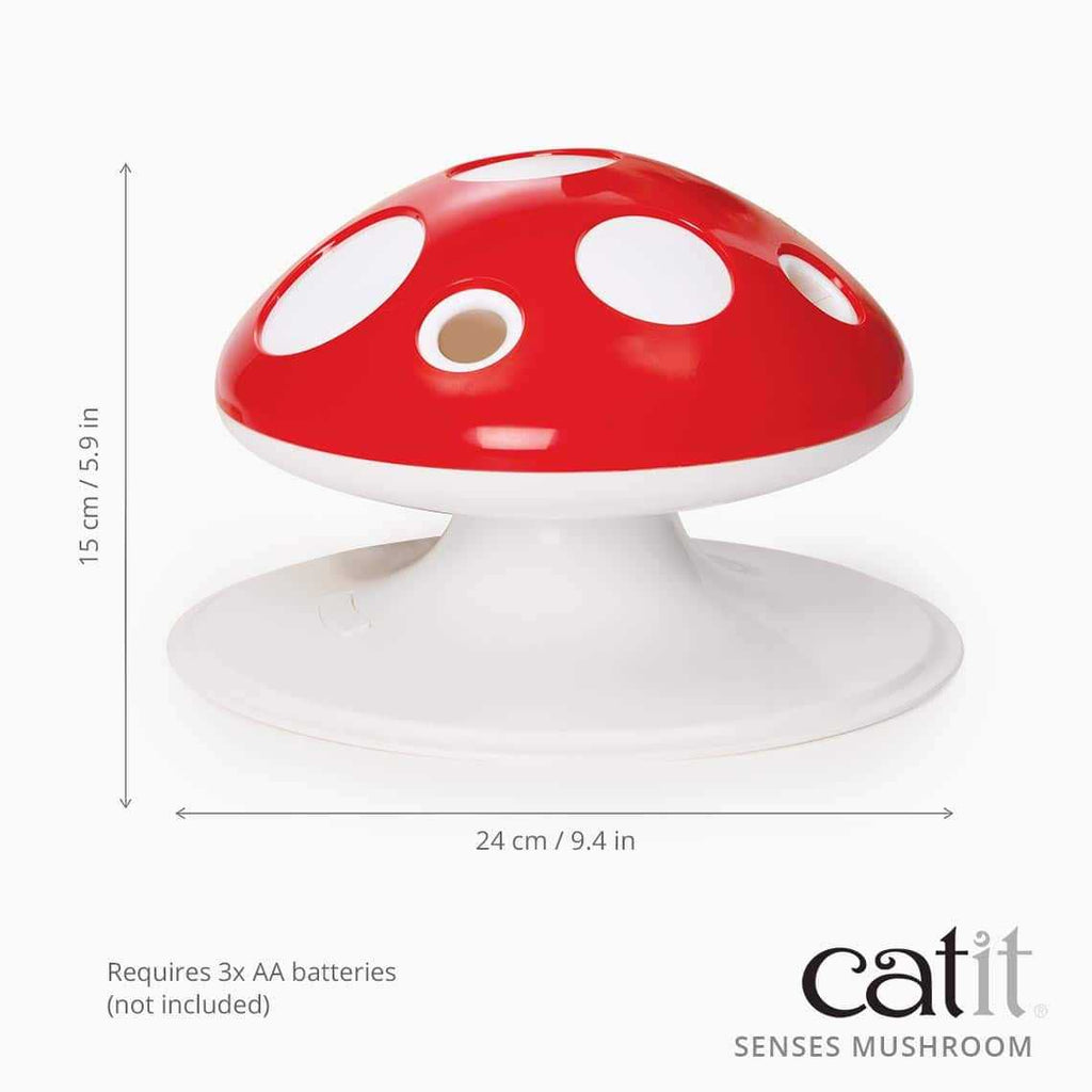 Interactive Cat Toy X975418