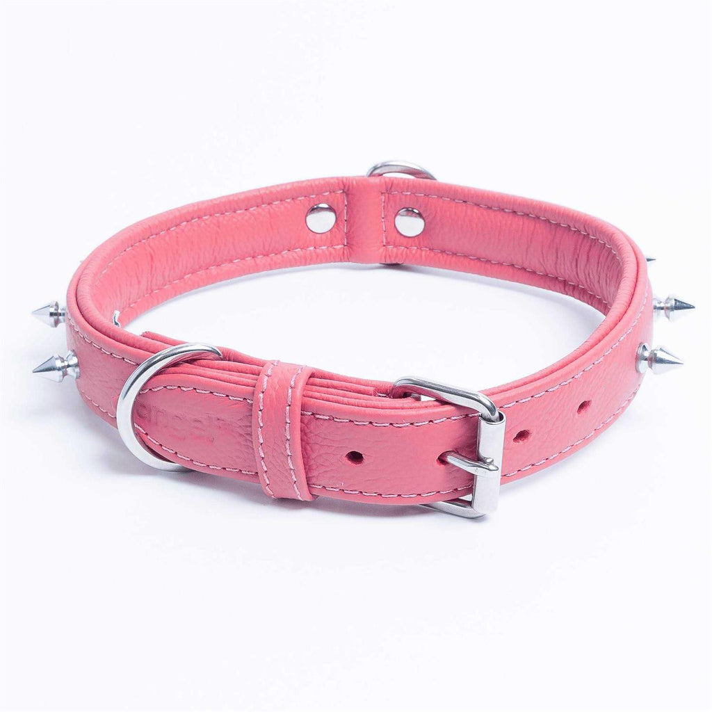 Dog Collar X3335