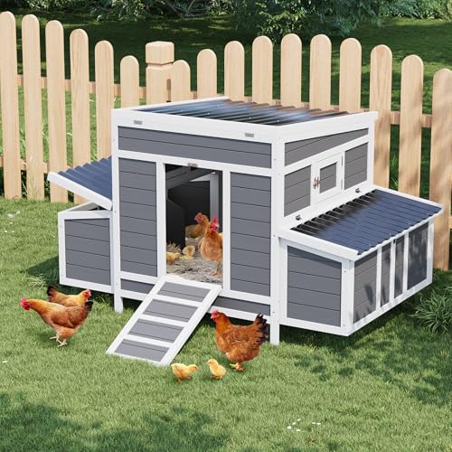 Wooden Chicken Coop for 4-6 Chickens with Nesting Boxes G298785