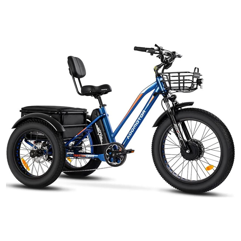 White Electric Tricycle W310
