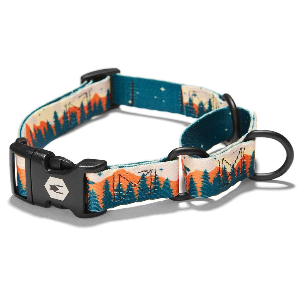 Martingale Dog Collar G332