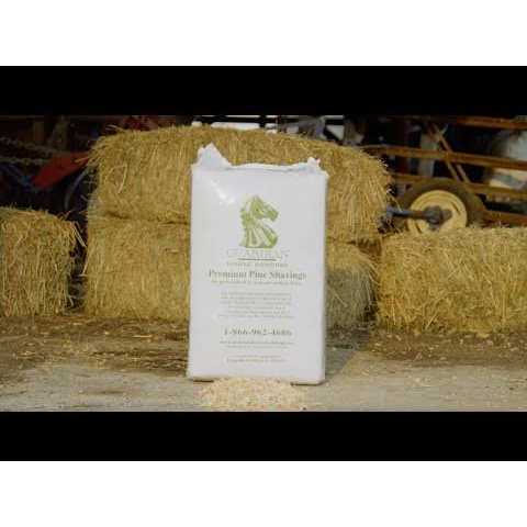 Pine Shaving K27146