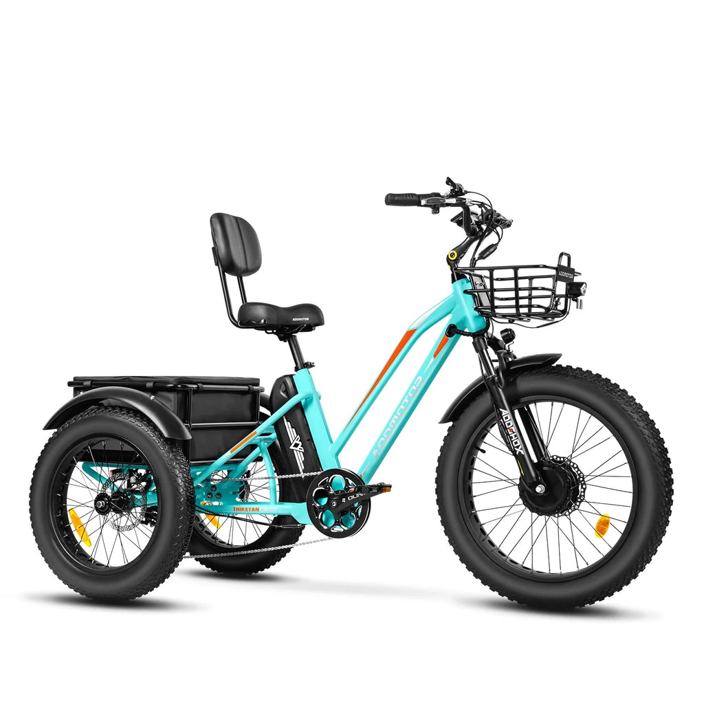 White Electric Tricycle W310
