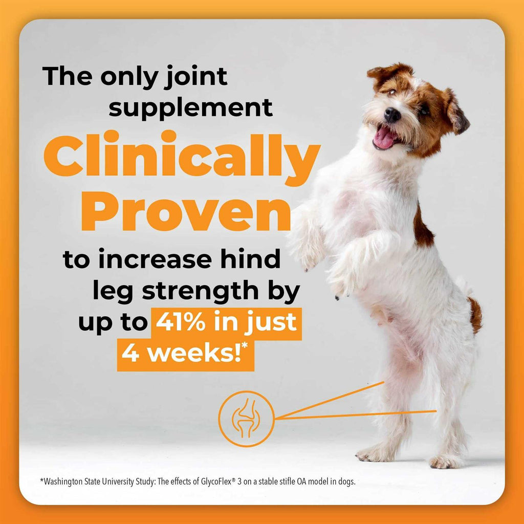 GlycoFlex Plus for Dogs V186