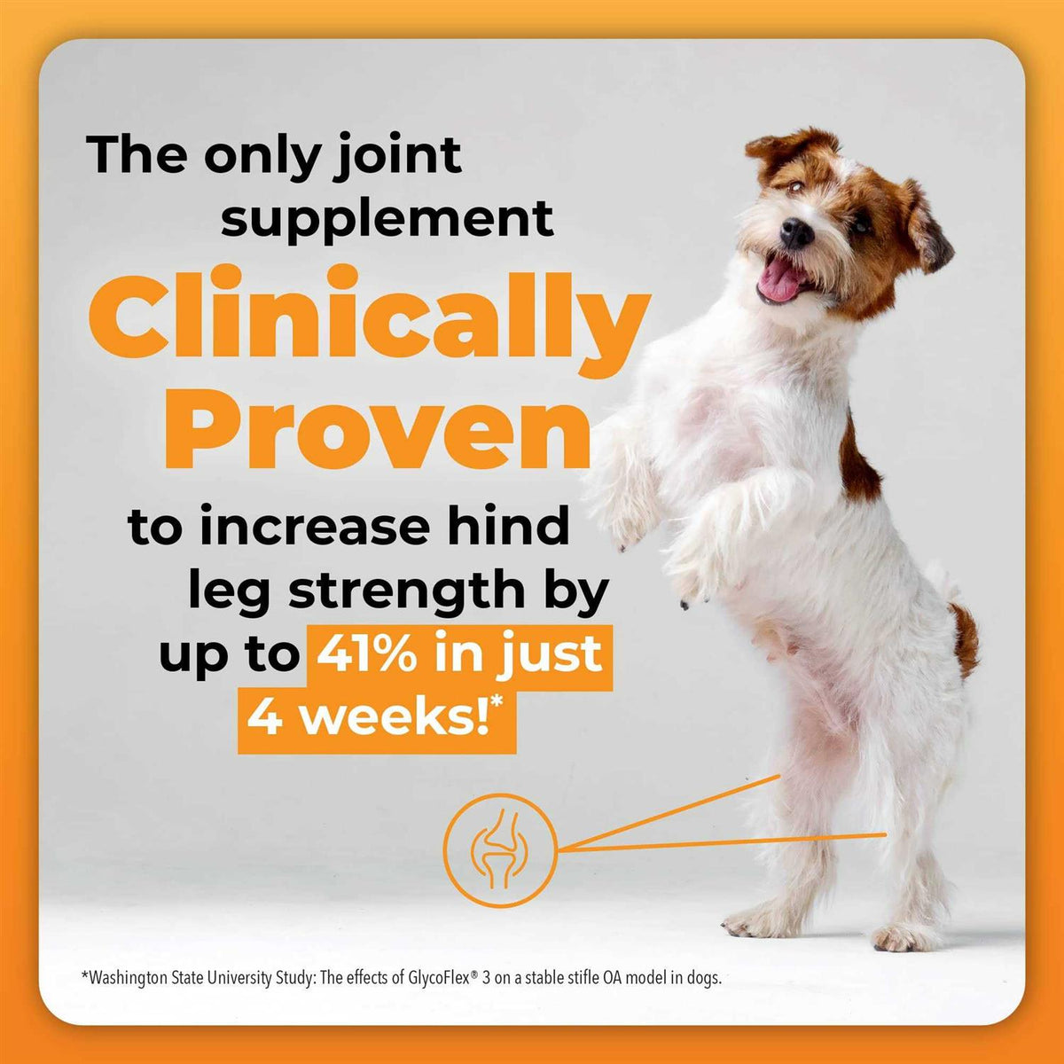 GlycoFlex Plus for Dogs V186