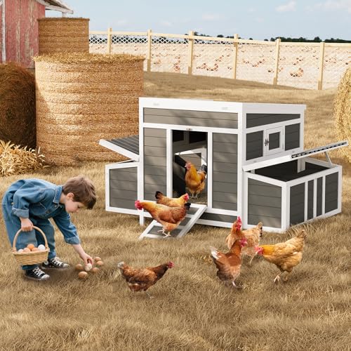 Wooden Chicken Coop for 4-6 Chickens with Nesting Boxes G298785