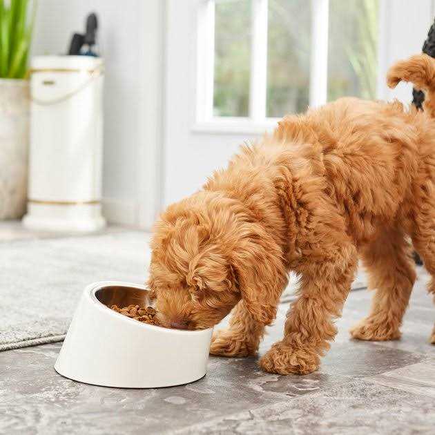 Slanted Stainless Steel Bowl N77915