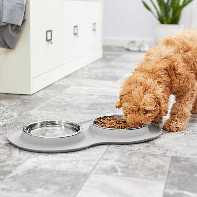 Double Stainless Steel Pet Bowl with Silicone Mat F226335