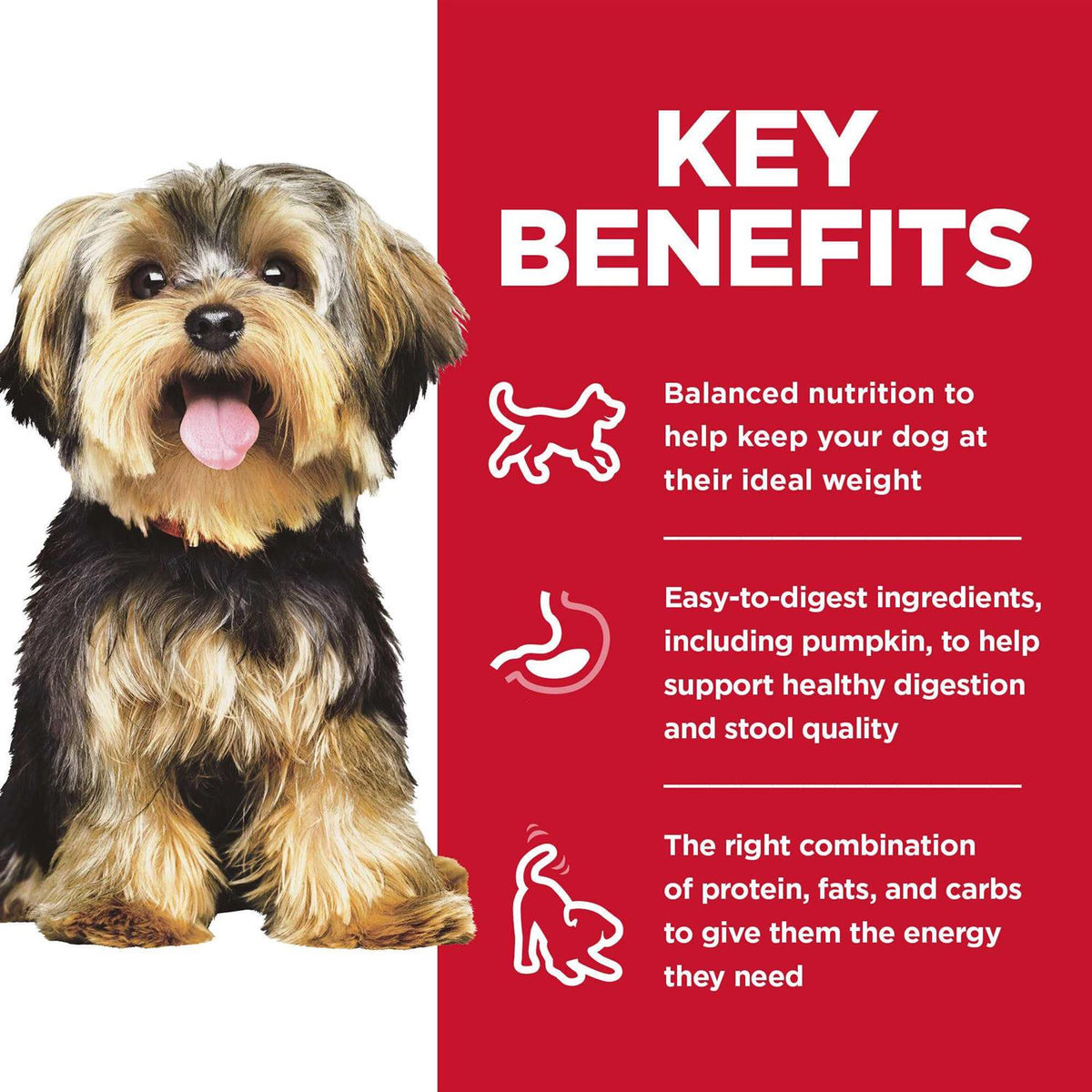 Dry Dog Food R378