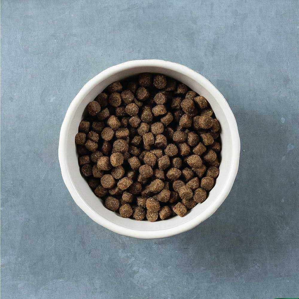 Grain Free Turkey and Sweet Potato Dog Food W376229