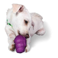 Squirrel Dude Dog Toy L541912
