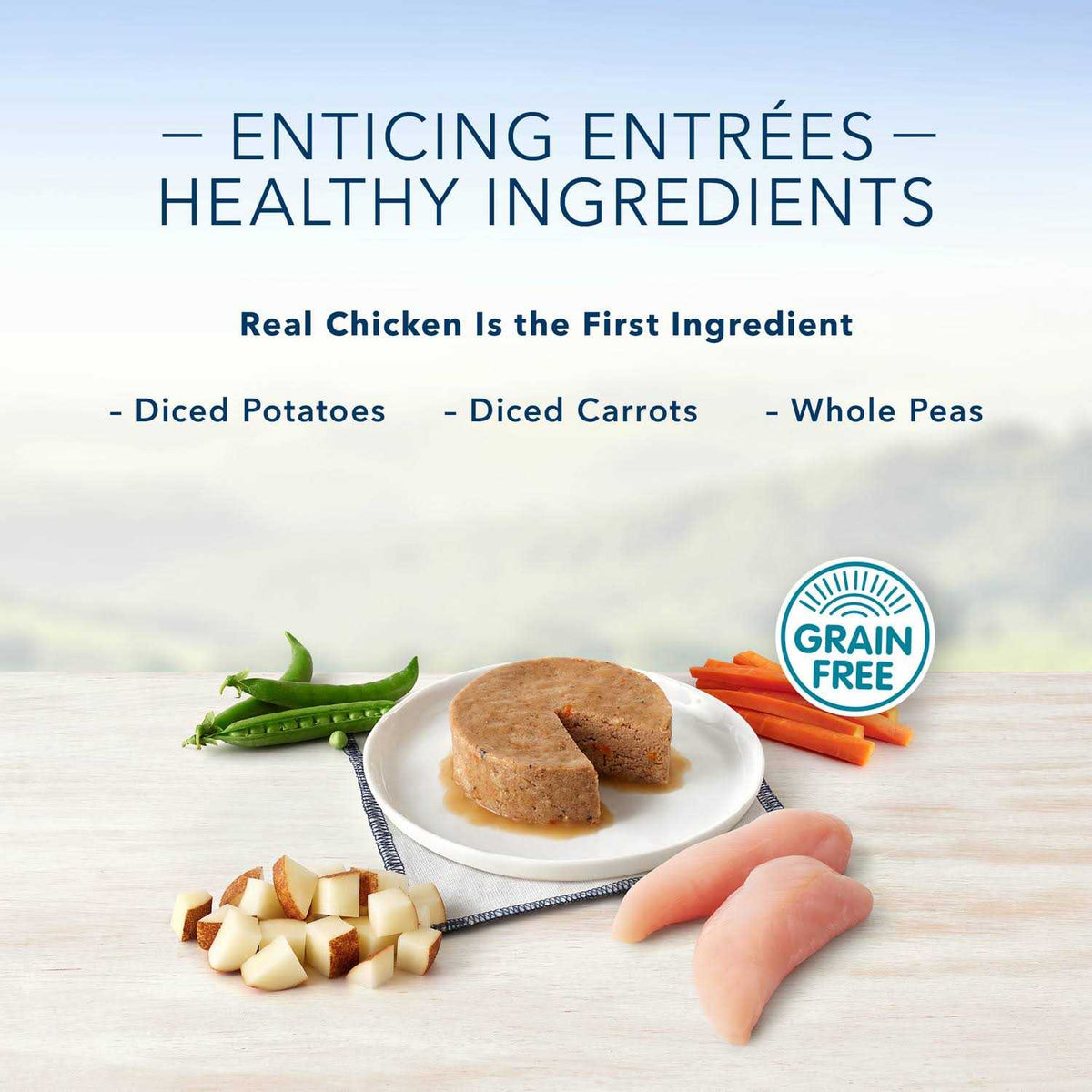 Chicken Flavor Pate Small Breed Dog Food R314048