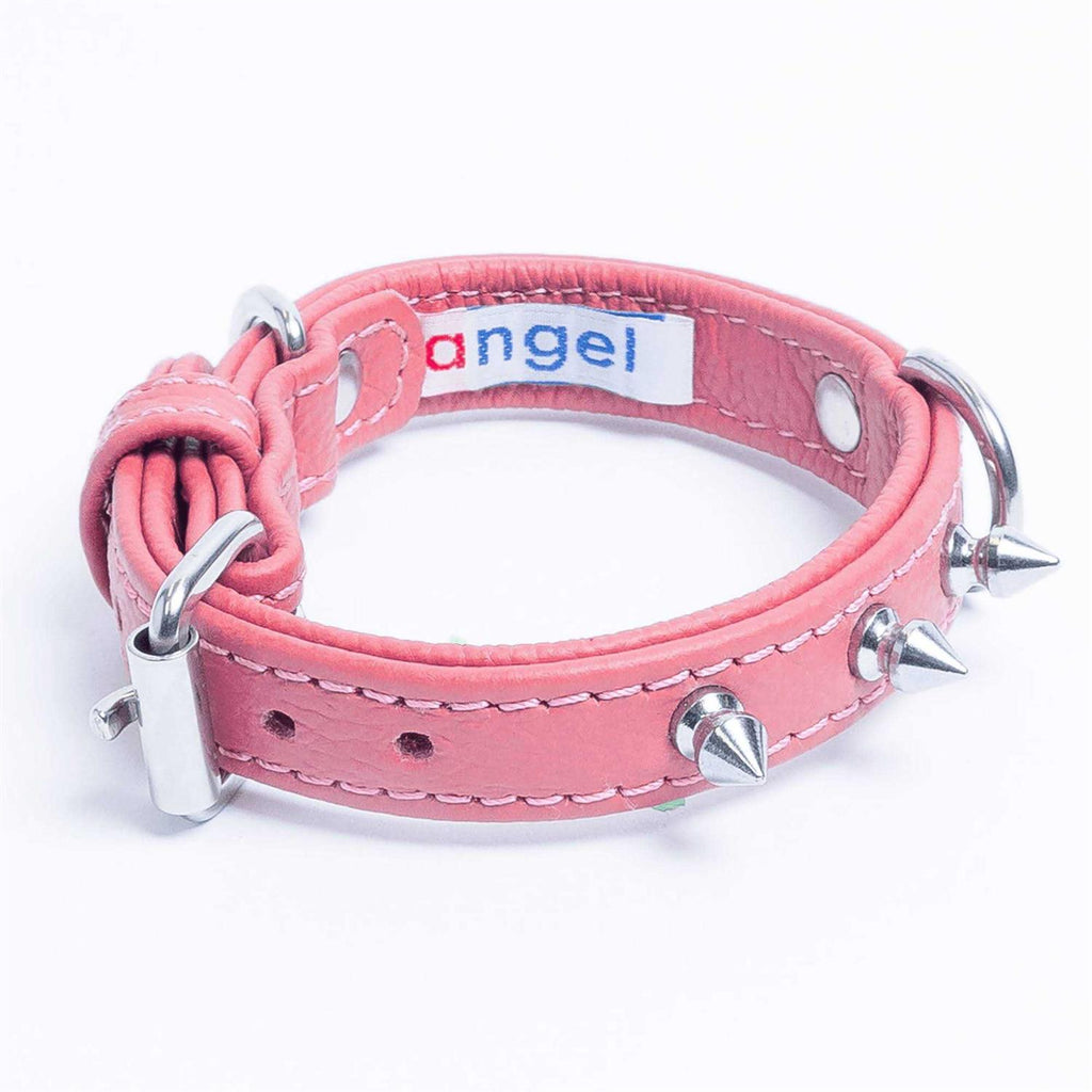 Dog Collar X3335