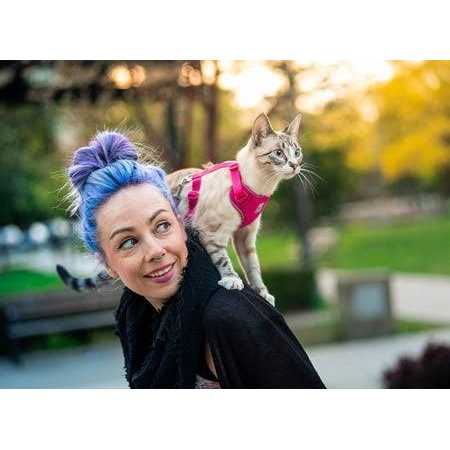 Cat Harness D242302