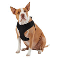 Mesh Dog Harness R59415