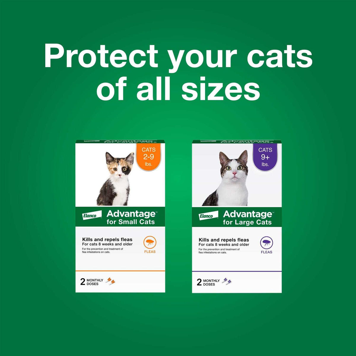Topical Flea Prevention for Small Cats N5194