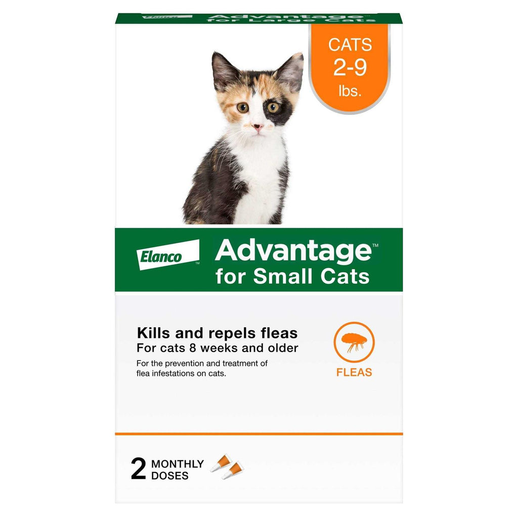 Topical Flea Prevention for Small Cats N5194