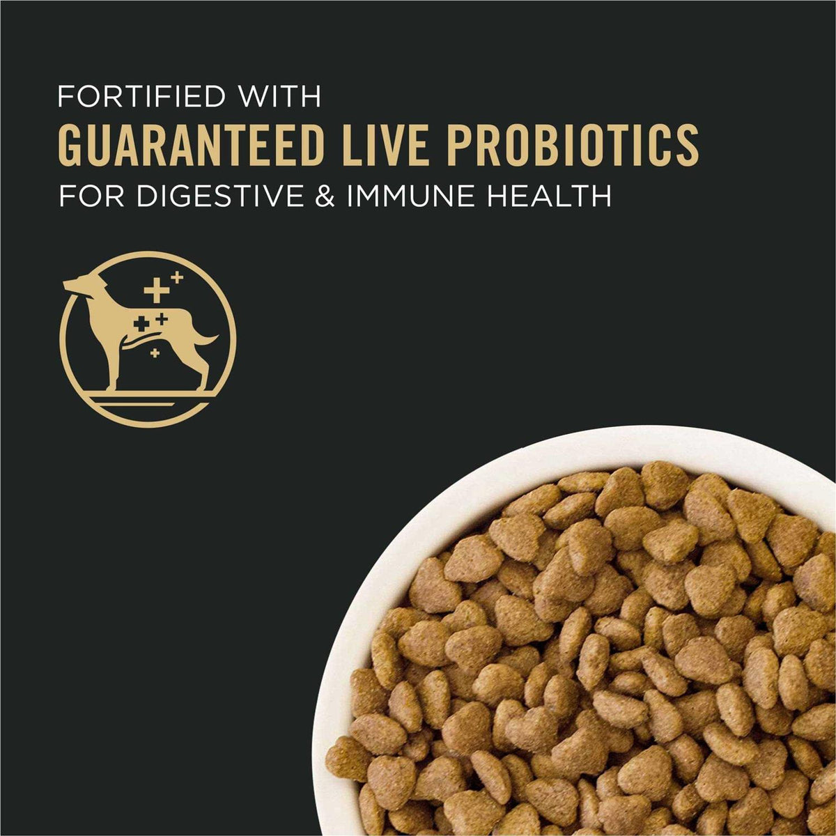 Lamb & Rice Dog Food Q2339