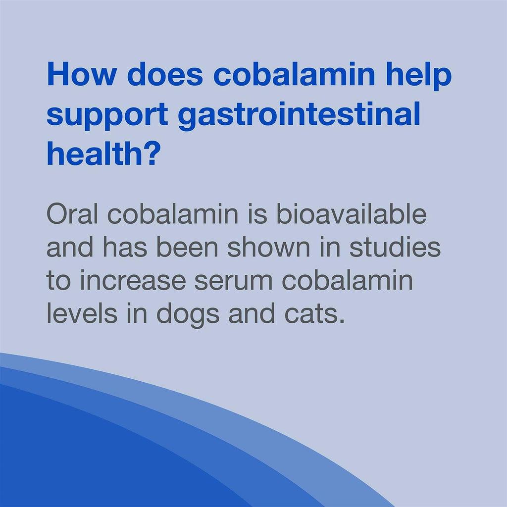 B12 Supplement Dogs X54388