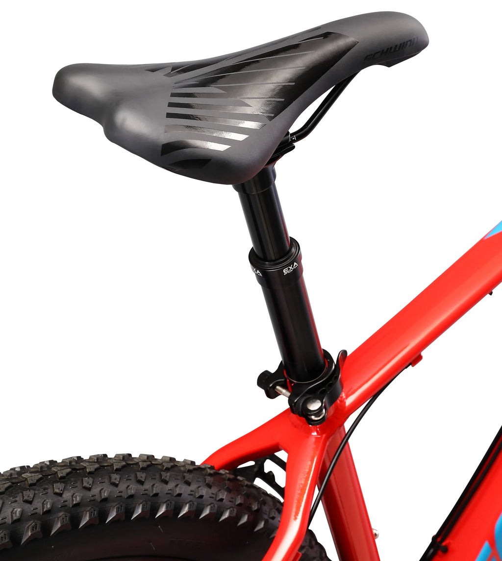 29 inch Mens Mountain Bike, 17 inch Frame Blue U409