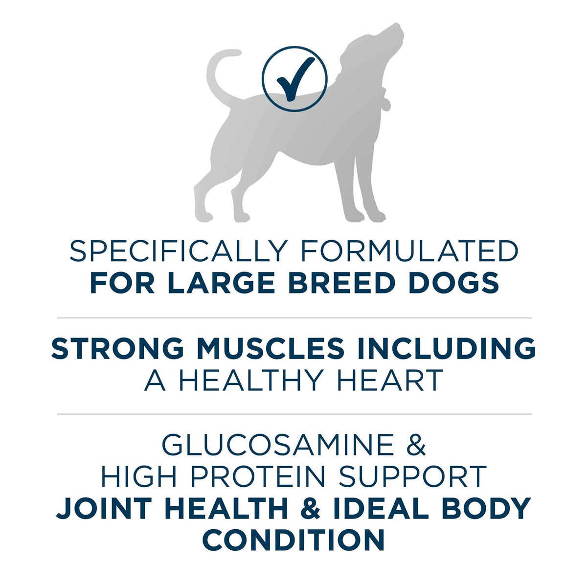 Adult Dry Dog Food Q6270