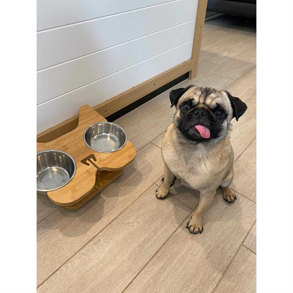 Elevated Dog Bowl Stand with Stainless-Steel Food and Water Bowls F535