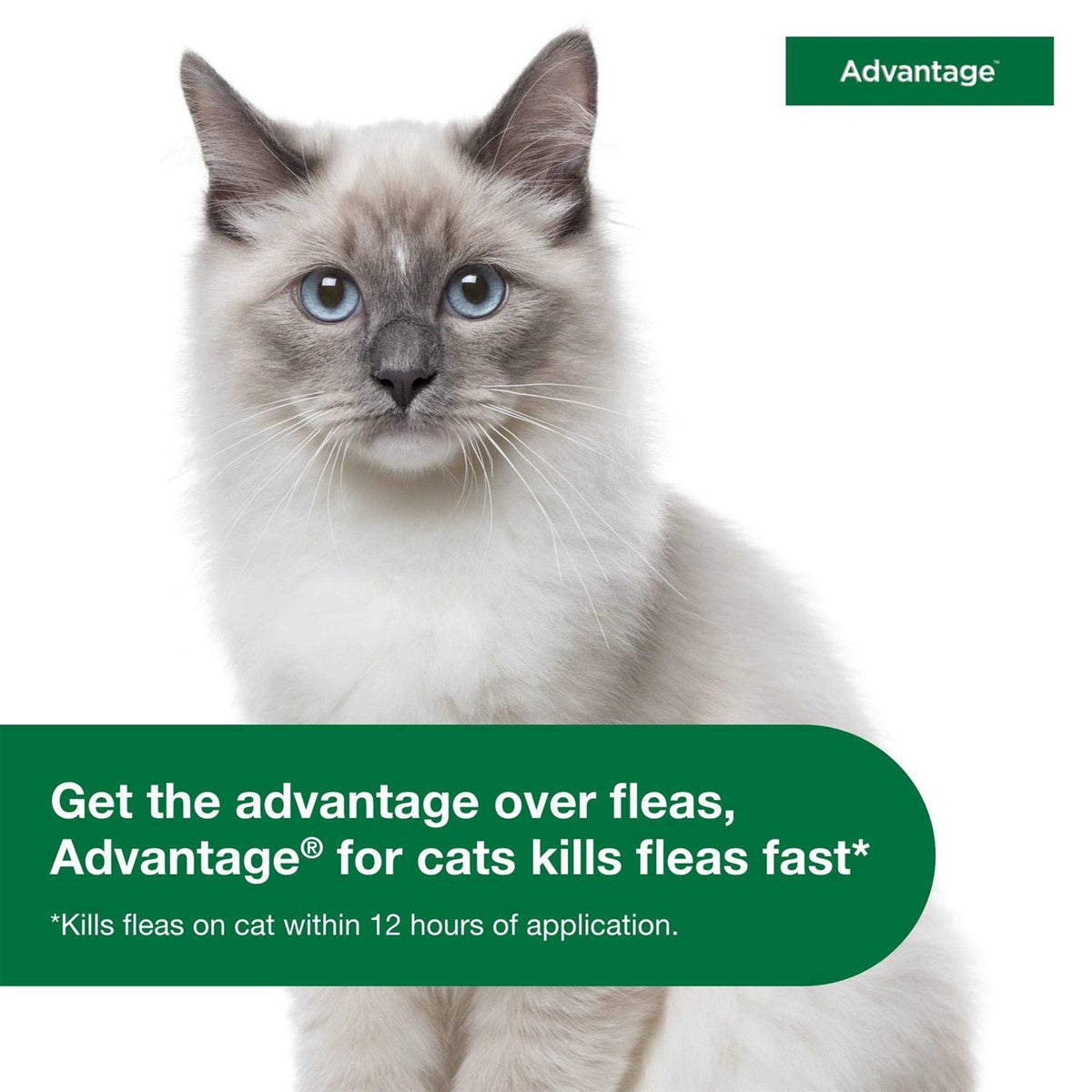 Topical Flea Prevention for Small Cats N5194