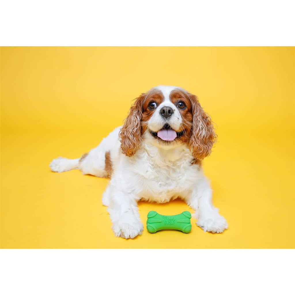 Latex Dog Toy G99837