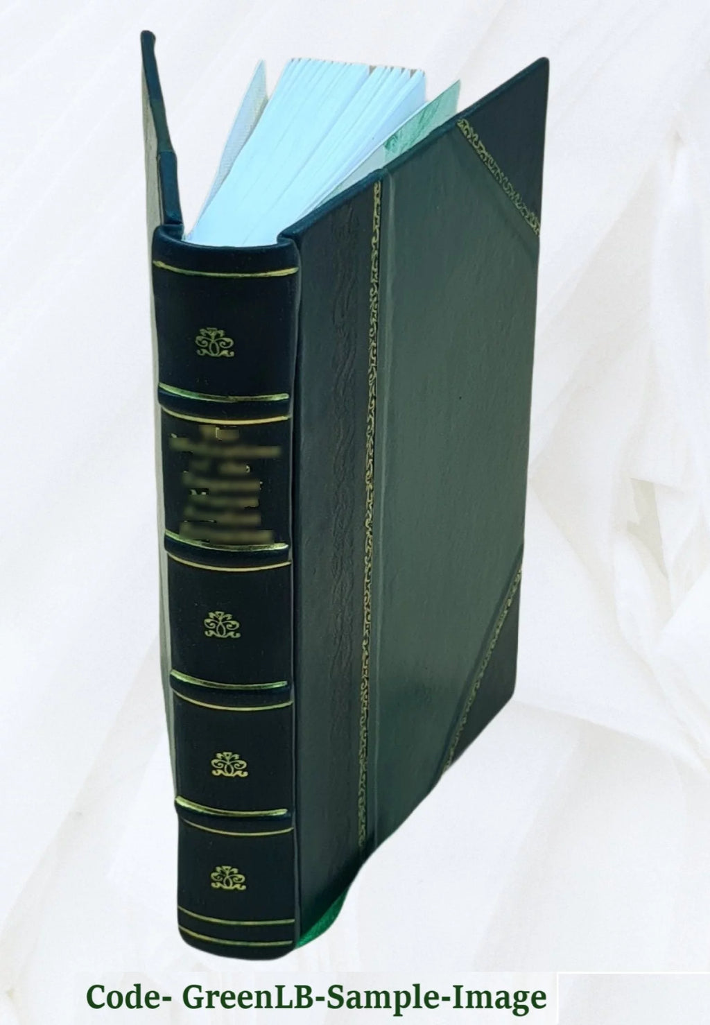 Leather Bound Encyclopedia of Fine Arts D4224