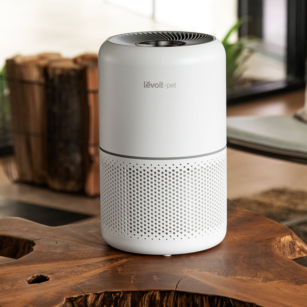 White True HEPA Air Purifier D613
