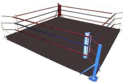Martial Arts Mat T287