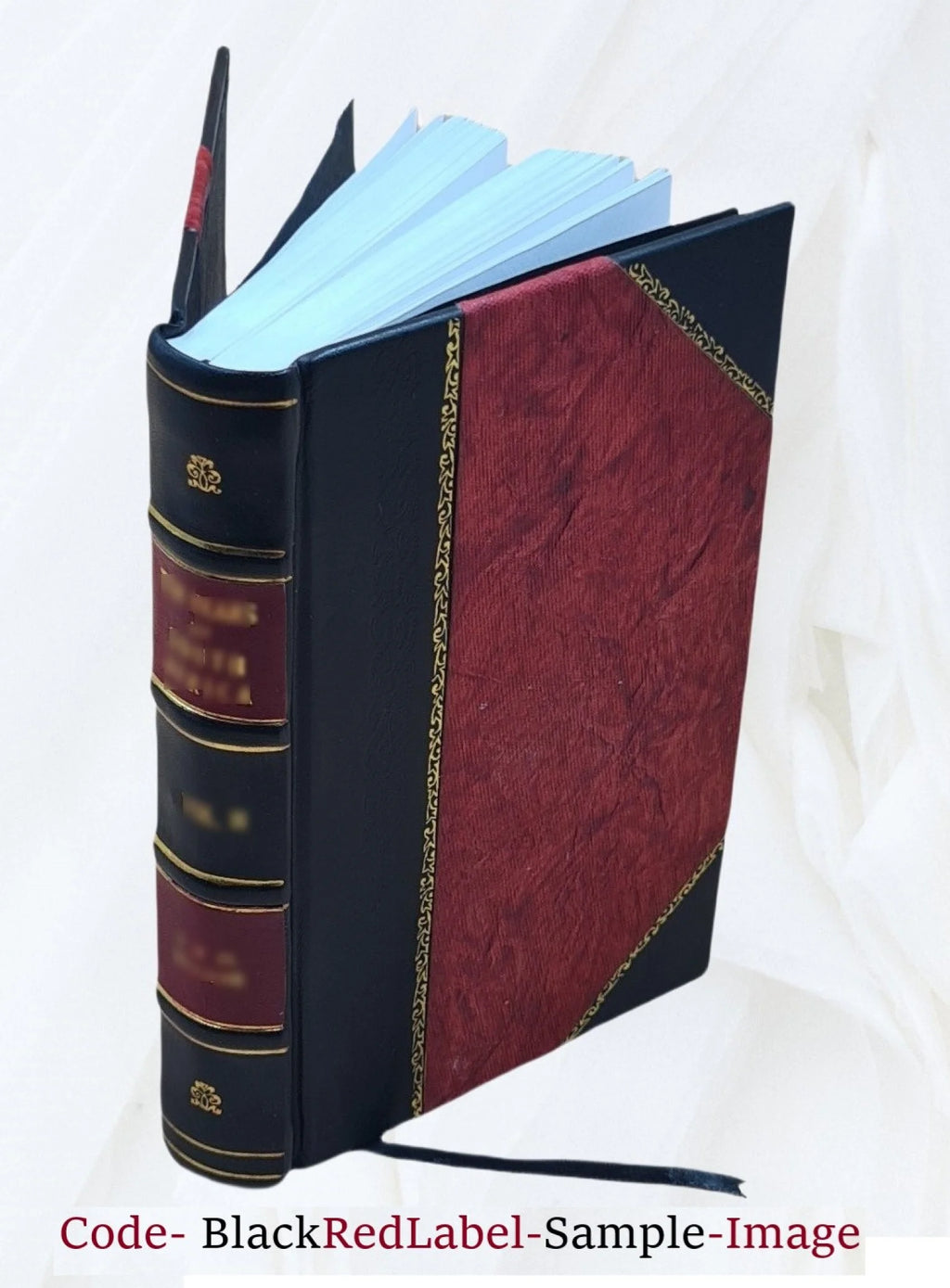 Leather Bound Encyclopedia of Fine Arts D4224