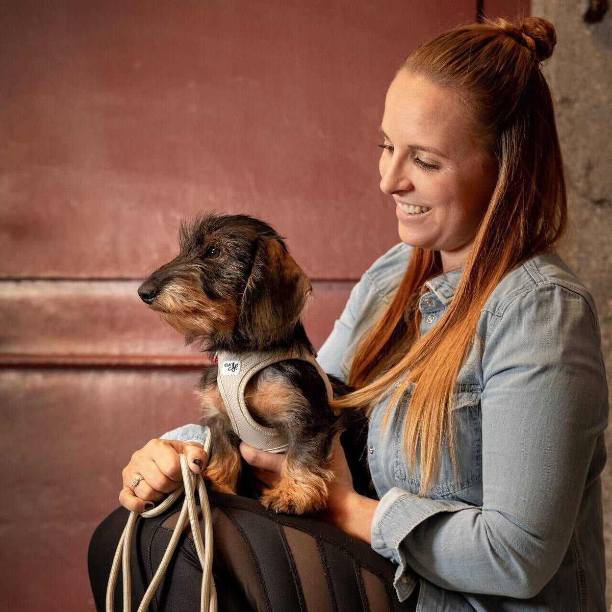 Vest Harness Air-Mesh L30341