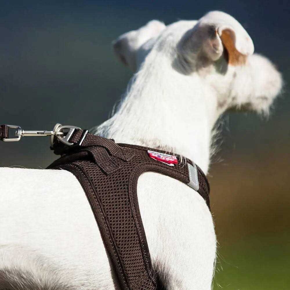 Vest Harness Air-Mesh L30341